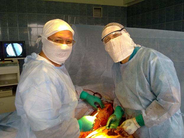 surgeon traumatologist